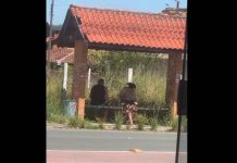 PENHA Abandono em abrigo de ônibus na Avenida Eugênio Krause revolta moradora