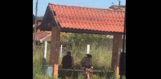 PENHA Abandono em abrigo de ônibus na Avenida Eugênio Krause revolta moradora