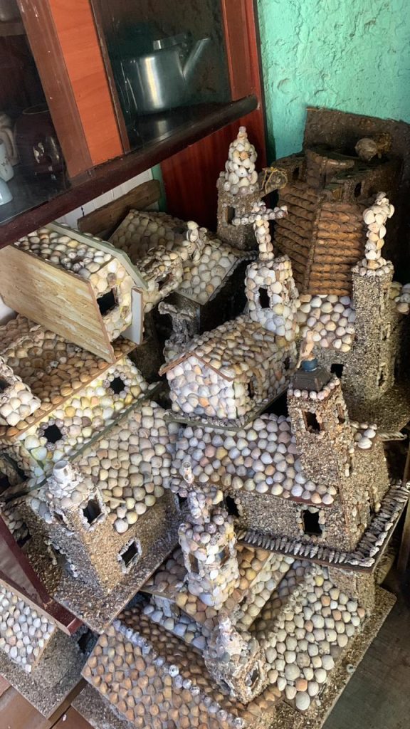 WhatsApp Image 2026 02 12 at 10.06.17