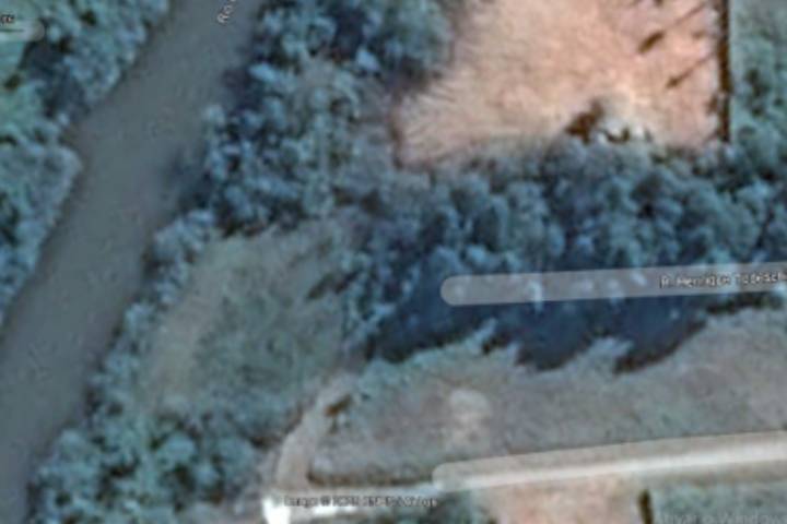 Novo Projeto 2026 03 01T153402.805