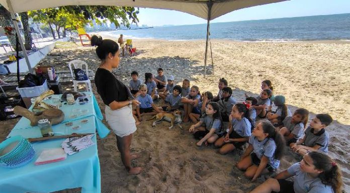 Balneário Piçarras promove atividades de educação ambiental na orla durante o mês de março