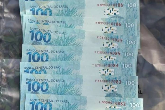 Novo Projeto - 2026-03-03T094902.737