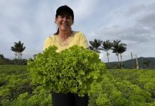 Agricultores se unem e criam cooperativa para vender merenda escolar em Balneário Piçarras