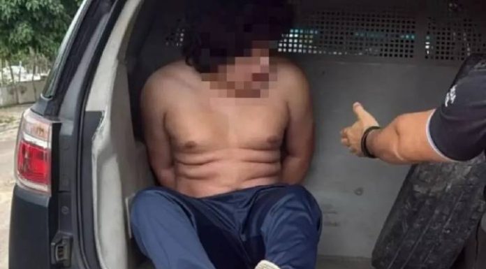 Monstro da Internet: Jovem é preso suspeito de matar mais de 100 animais em transmissões ao vivo