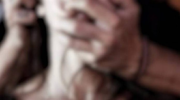 TERROR NA BR-101: Mulher é arrastada para o mato e estuprada ao voltar do trabalho em Itapema