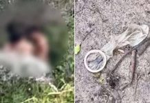 Vereadora do PL denuncia sexo explícito e drogas em trilha famosa de Floripa e faz grave alerta