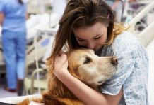 CÃES LEVAM ALEGRIA AO CAPS E EMOCIONAM PACIENTES EM PIÇARRAS