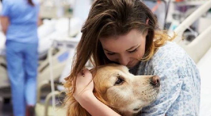 CÃES LEVAM ALEGRIA AO CAPS E EMOCIONAM PACIENTES EM PIÇARRAS