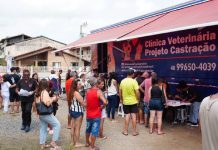 Balneário Piçarras promove mutirão de castração com 500 vagas neste sábado (14)
