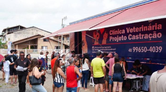 Balneário Piçarras promove mutirão de castração com 500 vagas neste sábado (14)