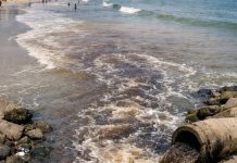 TÁ PODRE! Mar de Piçarras pode estar contaminado: exame aponta esgoto 30 vezes acima do limite