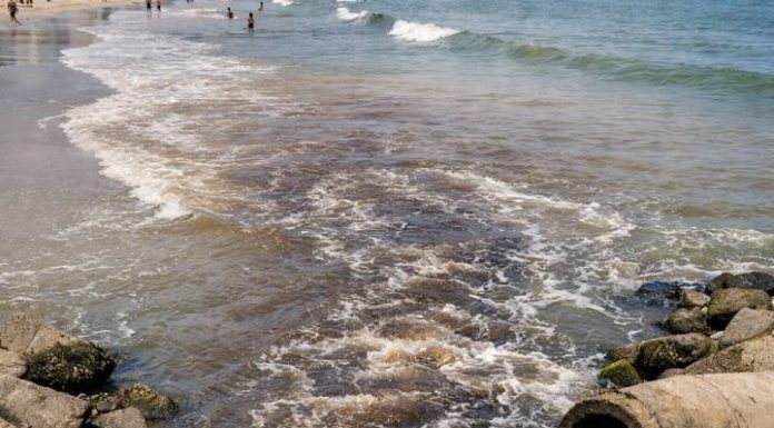 TÁ PODRE! Mar de Piçarras pode estar contaminado: exame aponta esgoto 30 vezes acima do limite
