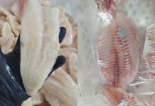 Venda de peixe se mantém estável em Penha, mas comerciantes divergem sobre desempenho do ano