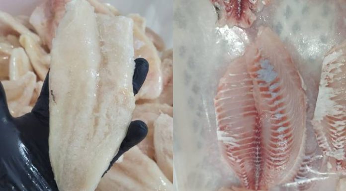 Venda de peixe se mantém estável em Penha, mas comerciantes divergem sobre desempenho do ano