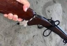 Criança mata irmã de 3 anos com tiro de espingarda