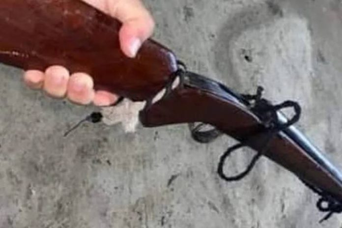 Novo Projeto - 2026-04-15T064202.696