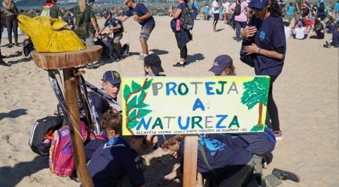 Escoteiros promovem grande evento na Praia de Balneário Piçarras em comemoração ao Dia do Escoteiro