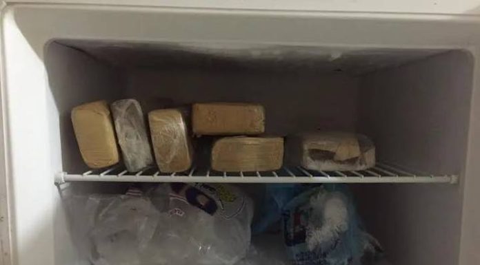 Geladeira “recheada”: dupla é presa com maconha escondida em casa em Itapema