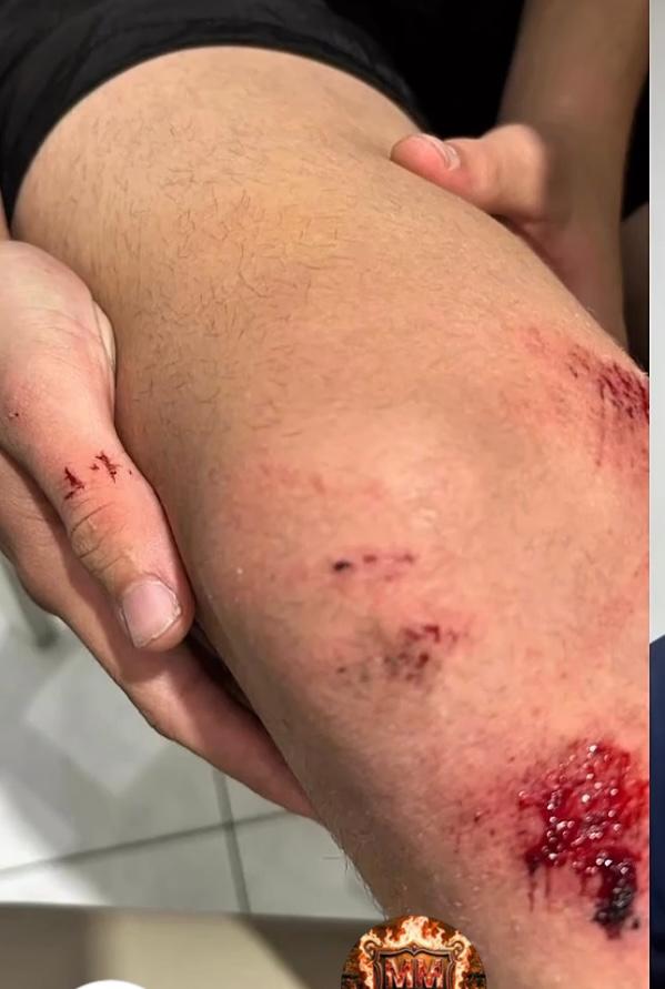 WhatsApp Image 2026 04 29 at 12.34.17 1