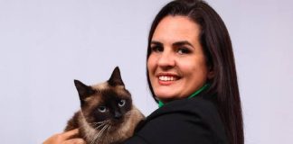Câmara de Vereadores de Penha aprova projeto de lei de grande impacto para a saúde pública e o bem-estar animal no município