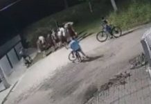 Moradores denunciam grupo de menores “tocando o terror” e causando medo em Balneário Piçarras