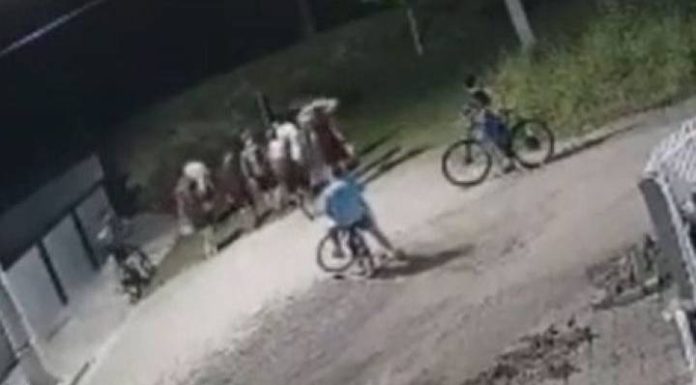 Moradores denunciam grupo de menores “tocando o terror” e causando medo em Balneário Piçarras