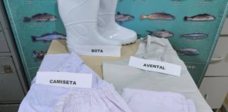 Kit Descascadeira será entregue nesta segunda-feira (18) em Penha