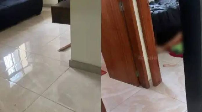 Filho decepa cabeça da mãe com faca de cozinha