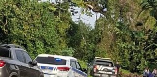 Homem é encontrado morto com marcas de tiros e corte profundo no pescoço em Navegantes