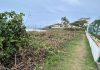 Restinga é destruída em frente a condomínio em Barra Velha, condomínio é multado e terá que recuperar área protegida