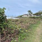 Restinga é destruída em frente a condomínio em Barra Velha, condomínio é multado e terá que recuperar área protegida