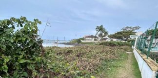 Restinga é destruída em frente a condomínio em Barra Velha, condomínio é multado e terá que recuperar área protegida