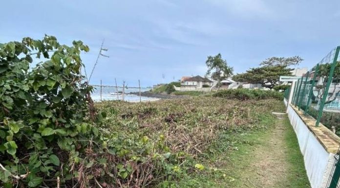 Restinga é destruída em frente a condomínio em Barra Velha, condomínio é multado e terá que recuperar área protegida
