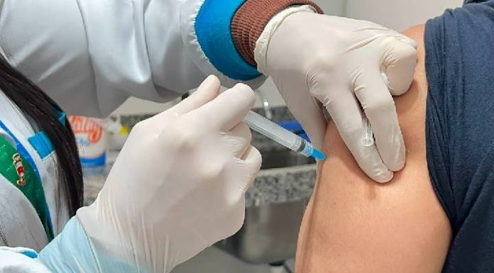 Arraiá da Saúde: Balneário Piçarras promove mutirão de atendimentos e castração neste sábado (25)