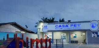 “Negaram atendimento ao meu cachorro”, diz tutora ao denunciar negligência da Casa Pet em Balneário Piçarras