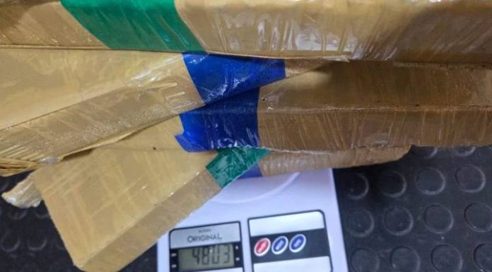 Droga no lixo: garis encontram quase 5 kg de maconha durante coleta em Camboriú