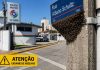 Enxame de abelhas preocupa moradores próximo ao batalhão da PM em Piçarras
