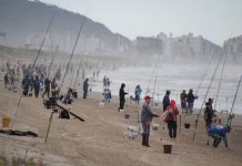 Festival de Pesca de Praia vai celebrar o aniversário de Navegantes