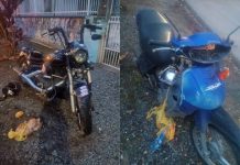 Grave acidente entre motos deixa dois feridos em Penha
