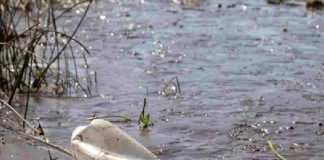 Ligação à rede de esgoto contribui para saúde, meio ambiente e desenvolvimento de Penha