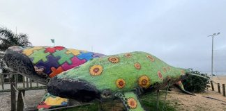 Retirada das “baleias” na Beira Mar de Piçarras provoca alteração do trânsito
