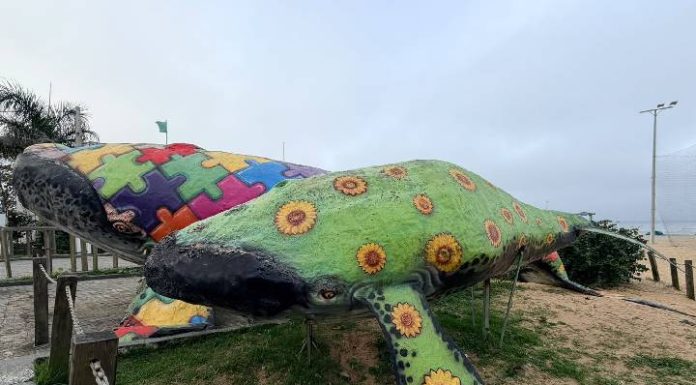 Retirada das “baleias” na Beira Mar de Piçarras provoca alteração do trânsito
