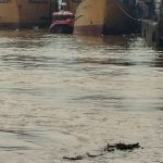 Corpo é encontrado boiando no Rio Itajaí-Açu e mobiliza equipes em Itajaí