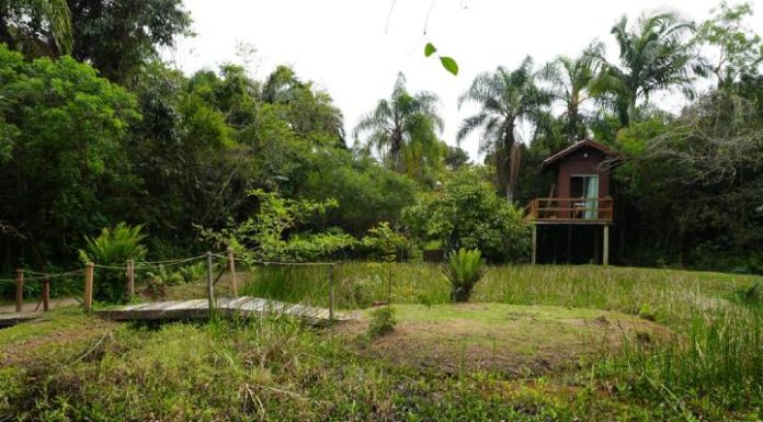 Nova rota agroturística reúne experiências de natureza, gastronomia e cultura em Balneário Piçarras