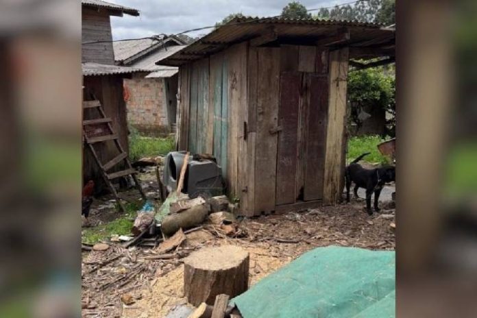 Novo Projeto - 2026-10-30T101501.457